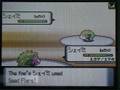 Shaymin and Micle Berry (From The Pokemon Movie 2008)
