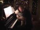 Fluffy On The Grand Piano Fluffy On The Grand Piano