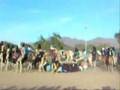 tuareg leaders
