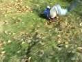 videos de el peor golpe del mundo-en bici-parte 3.flv