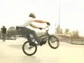 The Best Of Scotty Cranmer