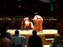 Ozeki Kotooshu. Sumo in Hawaii. 大関琴欧州ーハワイに大相撲