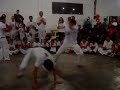 GRUPO CAPOEIRA BRASIL em QUATRO BARRAS - PR (1)