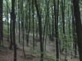 Atv Nysa, go?cie z ATV Puszczykowo Atv Nysa, go?cie z ATV Puszczykowo