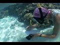 enjoy and care.  Quiksilver Foundation