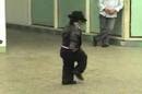 free mp3 Michael Jackson : Little Michael Jackson free mp3 Michael Jackson : Little Michael Jackson