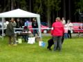 2010-05-18 | Klubov vstava Hovawart.AVI ~> ()