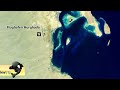 Hotel Alf Leila Wa Leila 1001 Nacht Ägypten Hurghada Eindrücke