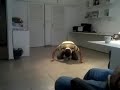 Click here to watch this video 074.mp4 - o tio caduco ea sobrinha lolita - um carinho especial a quem amamos de verdade