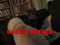 Sneeze attack!