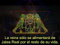 16. Alineaci�n Gal�ctica