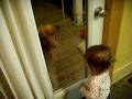 videos de bark baby bark