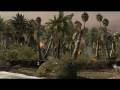 videos de ICDB