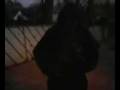 videos de ding dong ditch