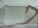 Corn Snake Blizzard