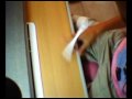 [WT09 round3]vs s777 15/3/2009