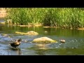 Camping at Malibu Creek State Park - YouTube