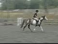 Keebler - Pinto Pony