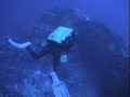 Zealot Wreck - Daedalus Shoal - Red Sea Zealot Wreck - Daedalus Shoal - Red Sea