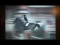 Copyright 3 - 2001 Hanoverian Gelding by Crazy Classic