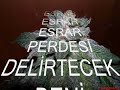 SELAHATT?N ÖZDEM?R ESRAR PERDES? SELAHATT?N ÖZDEM?R ESRAR PERDES?