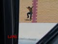 toro savage 2 guiris locals toro savage 2 guiris locals