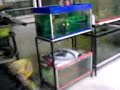 MOV00638 MOV00638