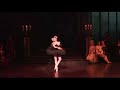 Black Swan Pas de Deux