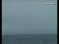 Avistamiento orcas en el Banco de Galicia