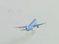 757 Bird strike during take off and emergency landing
