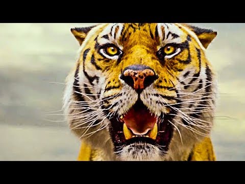 [Official Thread] Life of Pi (2012) 2