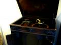 Waring's Pennsylvanian's Bolshevik Victor 20146B played on 1927 Victor Victrola 8-30x