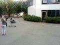 Ab in die Hecke !! :'D