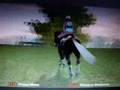 Lucinda Green's Equestrain Challenge, Cross Country!