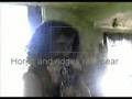 Reptile Woman  - UFO Reptilian / Demon Morphing