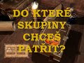 OSOBNÍ KRONIKA SNŮ A