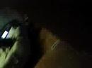 another entertaning thing at kaylas