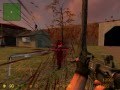 Counter Strike: source
