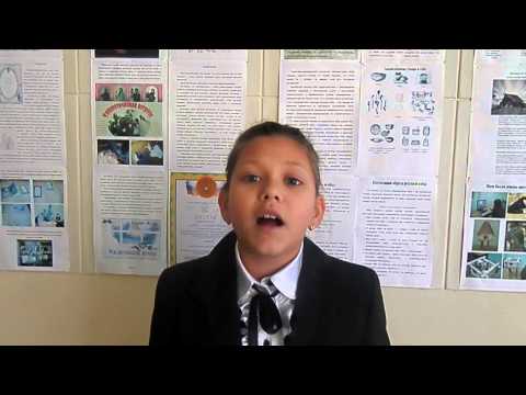 Владимир Степанов "Поле славы"