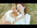 Click here to watch this video KETTLES - 約束は覚えてる (MV)