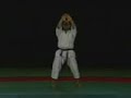 Karate Advanced ,kata kankudai shian Nekoofar