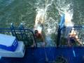 Fun on Boat Trips!