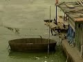 Chinese Pollution Death Tolls