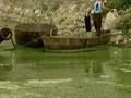 Chinese Pollution Death Tolls