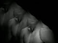 Zazie - Totem