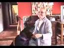Schlip the Wonderdog and Meg Sing a Duet! Schlip the Wonderdog and Meg Sing a Duet!