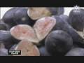 alizee - gourmandises
