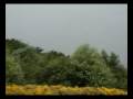Northern Harrier Story 1 First encounter