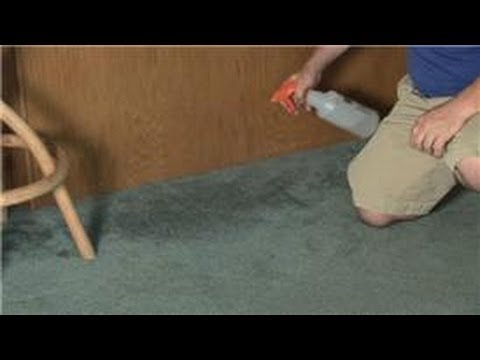 how to remove mold from carpet