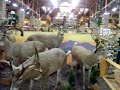 big bucks in your face - front door cabelas big bucks in your face - front door cabelas